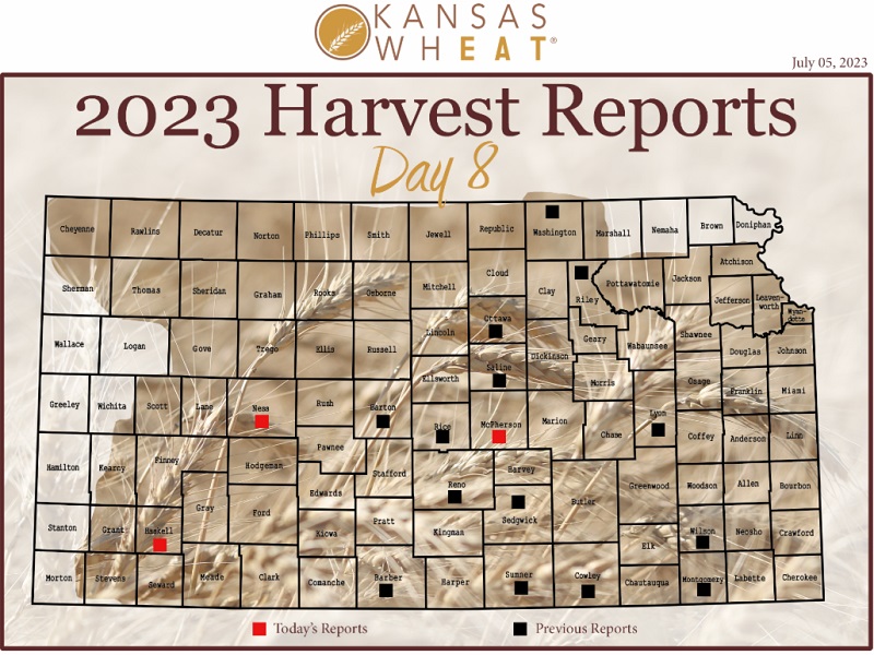 2023 Kansas Wheat Harvest Report Day Eight